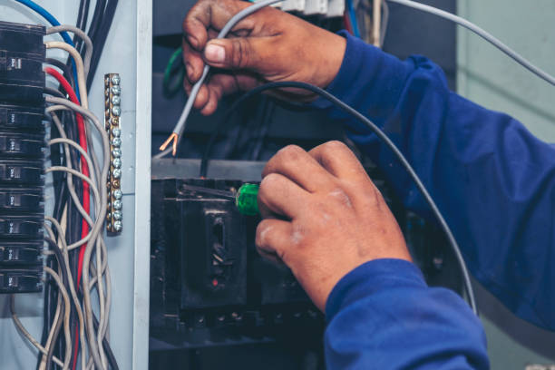 Best Electrical System Inspection  in Basye, VA
